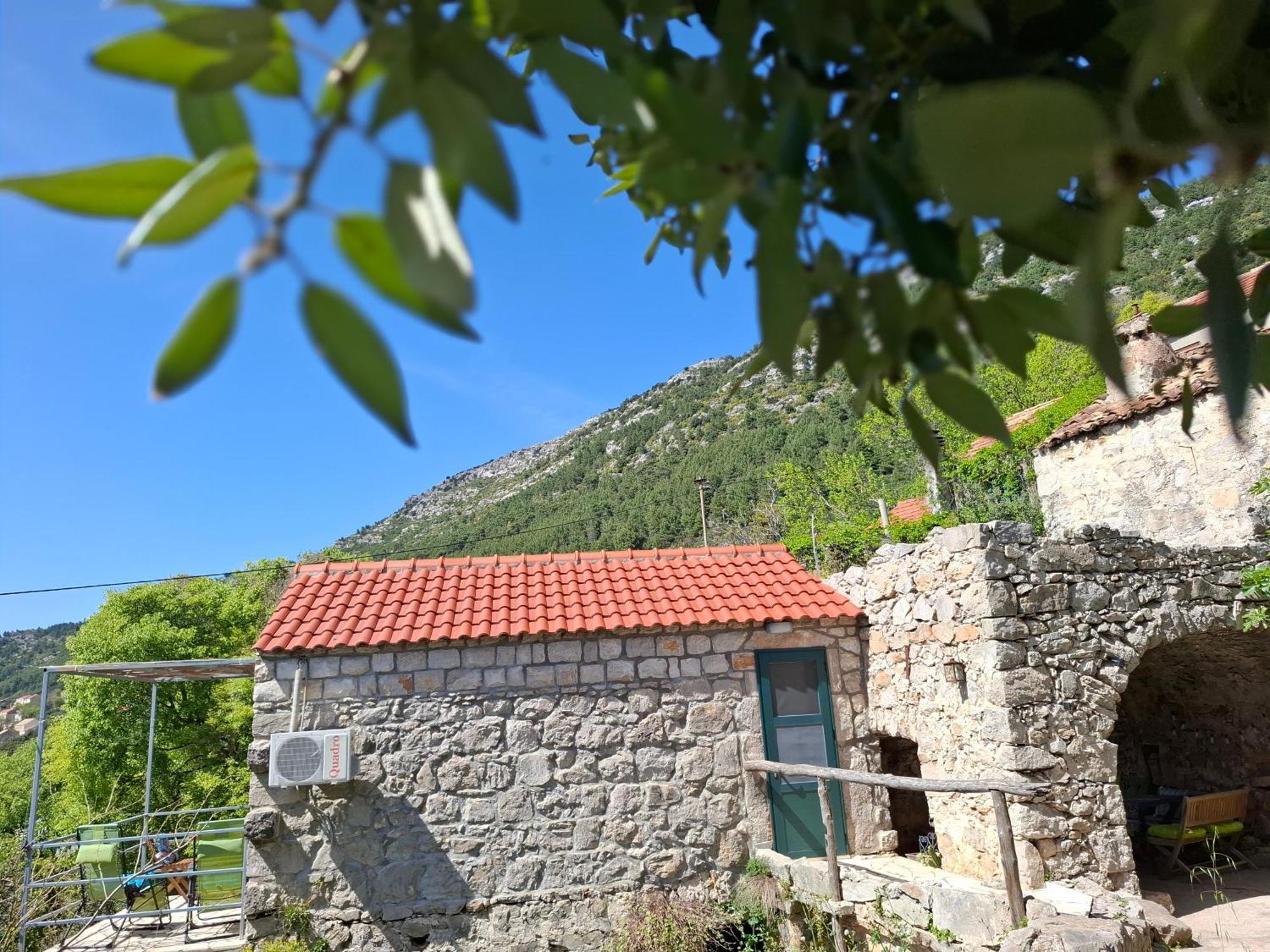 Cottage Melita The Apartment For Animal Lovers Babino Polje Zewnętrze zdjęcie