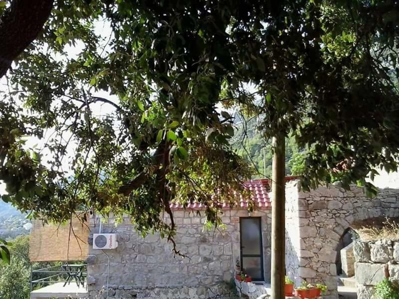 Cottage Melita The Apartment For Animal Lovers Babino Polje Zewnętrze zdjęcie