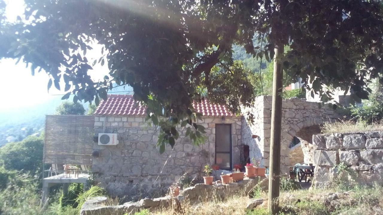 Cottage Melita The Apartment For Animal Lovers Babino Polje Zewnętrze zdjęcie