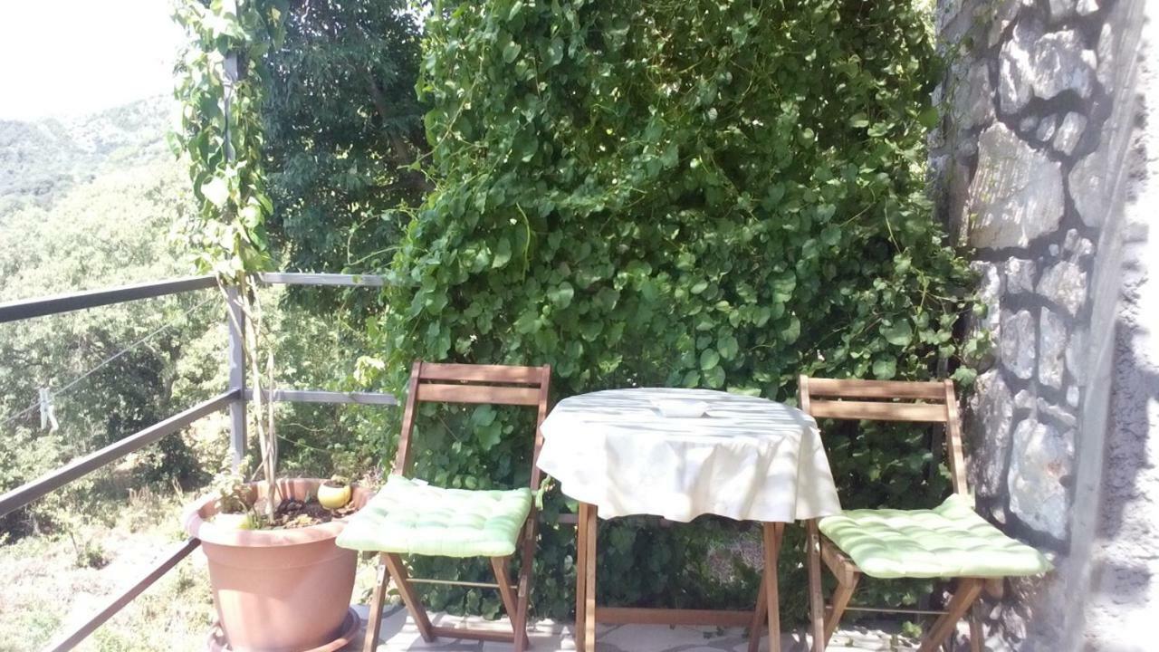 Cottage Melita The Apartment For Animal Lovers Babino Polje Zewnętrze zdjęcie