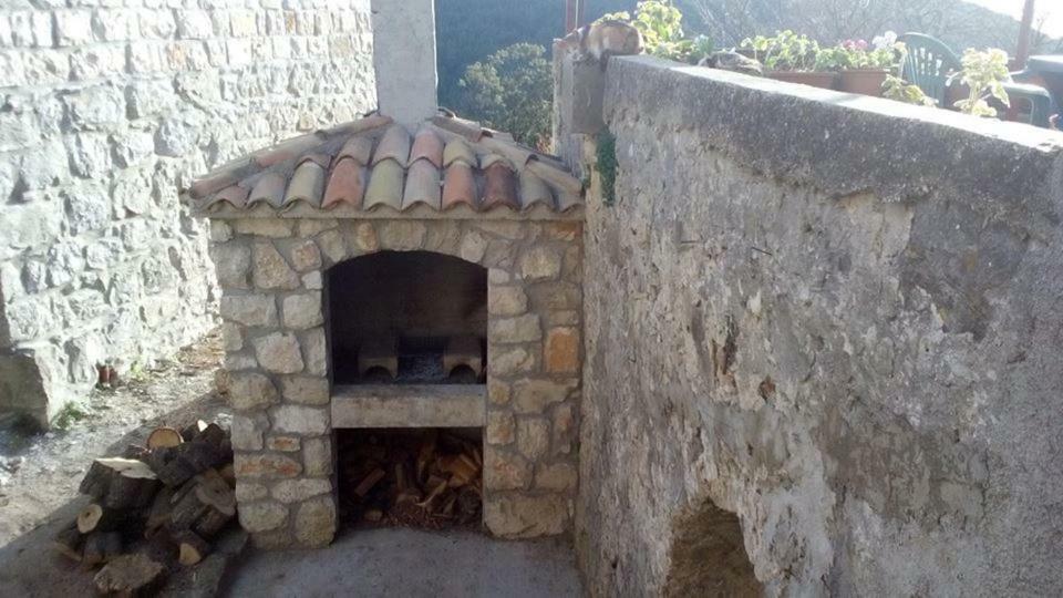 Cottage Melita The Apartment For Animal Lovers Babino Polje Zewnętrze zdjęcie