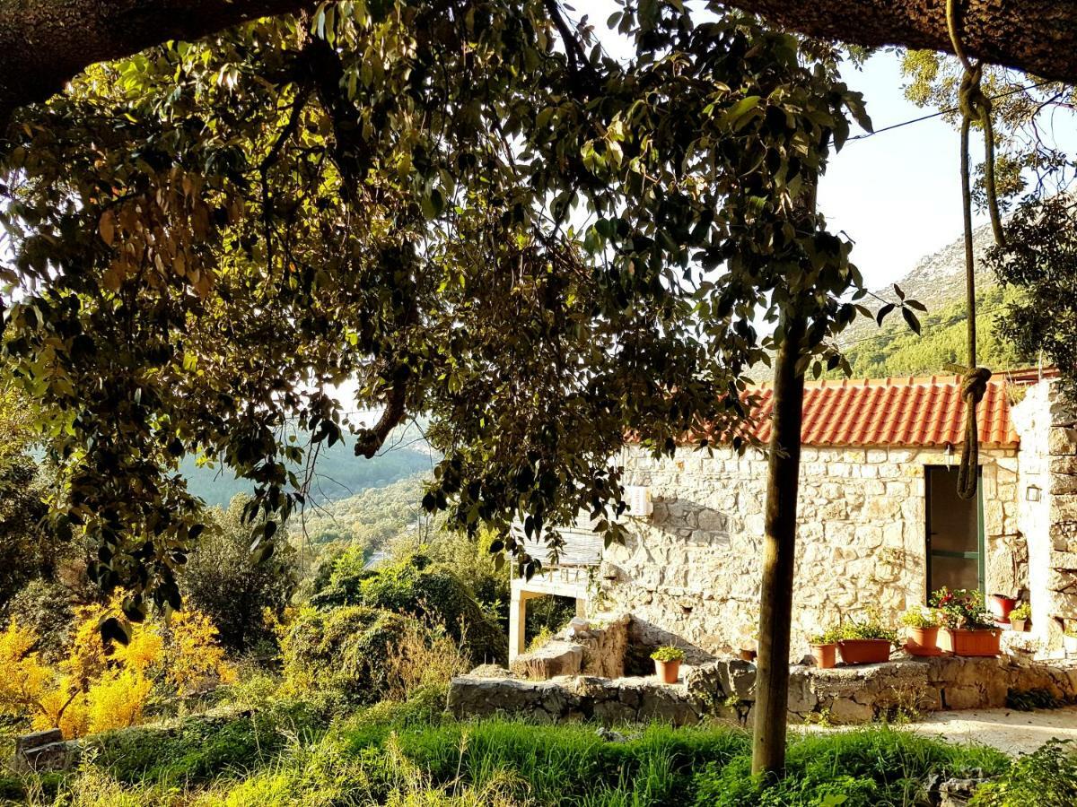 Cottage Melita The Apartment For Animal Lovers Babino Polje Zewnętrze zdjęcie