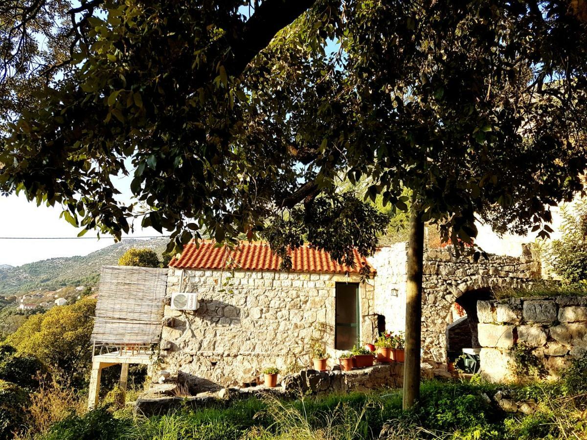 Cottage Melita The Apartment For Animal Lovers Babino Polje Zewnętrze zdjęcie